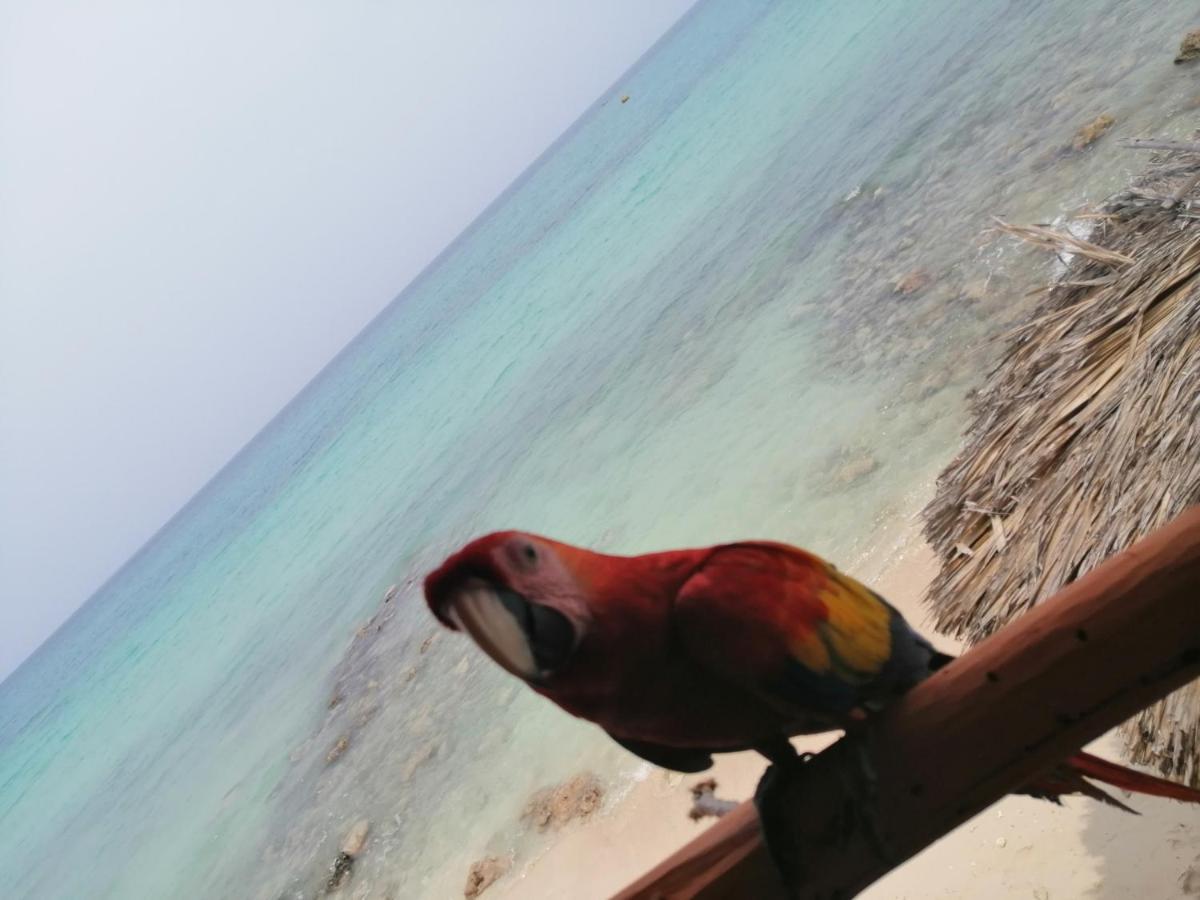 Playa Tortuga Cabana Playa Blanca Εξωτερικό φωτογραφία